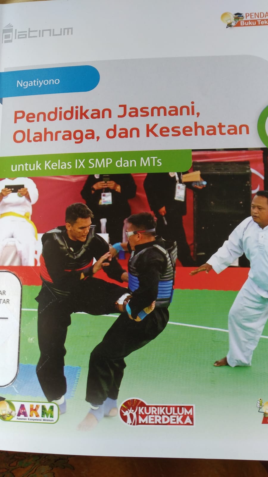 Pendidikan Jasmani, Olahraga, dan Kesehatan